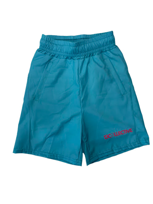 Teal Double Lined Polyester Shorts